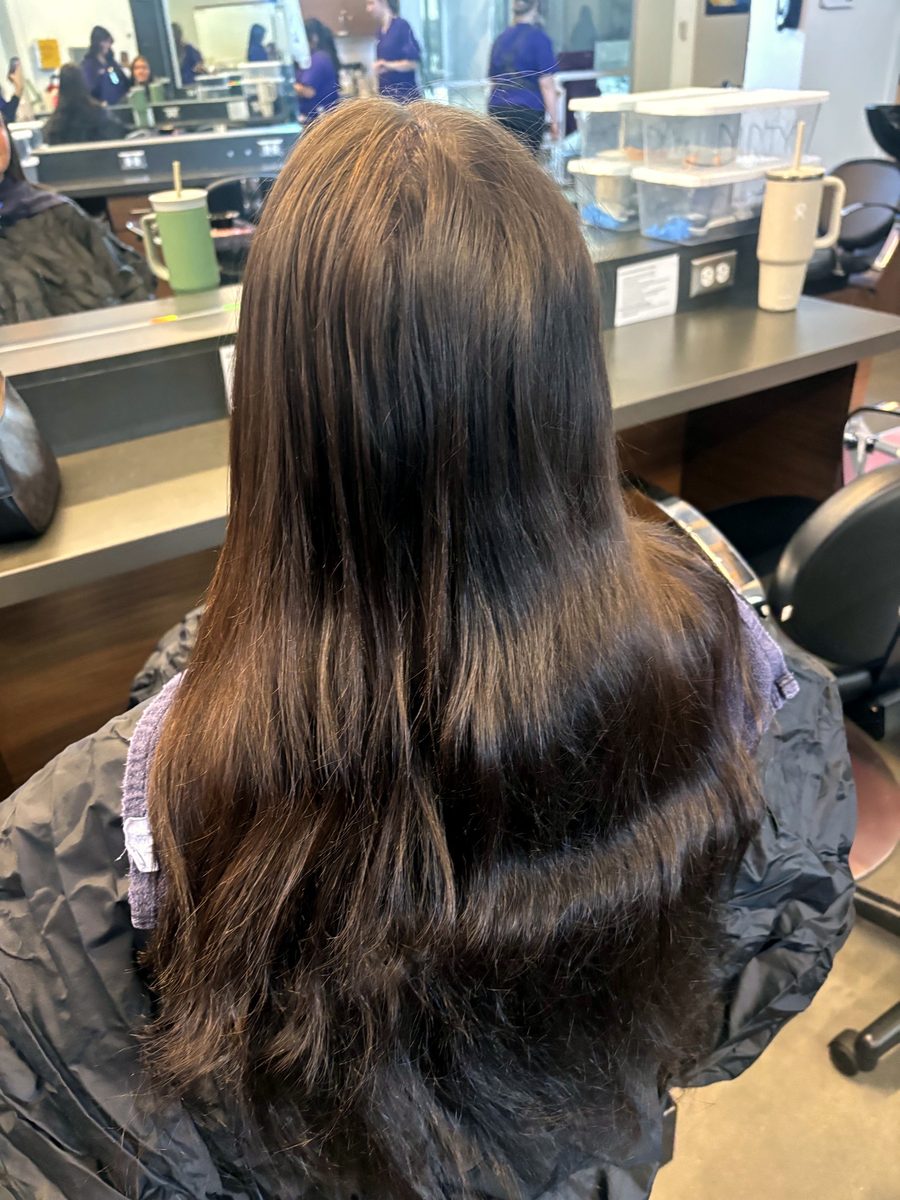 Glossy brown color, long straight, back view by Leila Lee