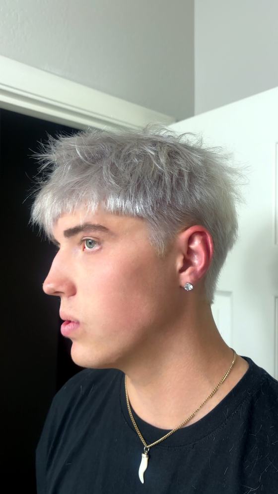 Silver color transformation by Leila Lee